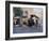 Street Scene with Horse Drawn Carriages, Rawalpindi, Punjab, Pakistan-David Poole-Framed Photographic Print