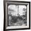 Street Scene with Horse-Drawn Tram, Pernambuco, Brazil, Late 19th or Early 20th Century-null-Framed Photographic Print