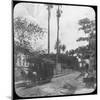 Street Scene with Horse-Drawn Tram, Pernambuco, Brazil, Late 19th or Early 20th Century-null-Mounted Photographic Print