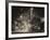 Street Scenes and Urban Night Landscape in Winter under the Snow-Philippe Hugonnard-Framed Photographic Print