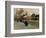 Street Section from Groenland (Oslo), 1906-Fritz Thaulow-Framed Giclee Print