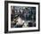 Street Side Restaurant, Bangkok, Thailand-John Henry Claude Wilson-Framed Photographic Print