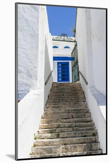 Street, Sidi Bou Said, Tunisia, North Africa-Nico Tondini-Mounted Photographic Print