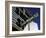 Street Sign for Las Vegas Boulevard, Las Vegas, Nevada-Corey Wise-Framed Photographic Print