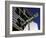 Street Sign for Las Vegas Boulevard, Las Vegas, Nevada-Corey Wise-Framed Photographic Print