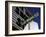 Street Sign for Las Vegas Boulevard, Las Vegas, Nevada-Corey Wise-Framed Photographic Print