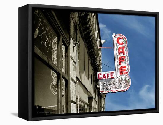 Street Sign in USA-Salvatore Elia-Framed Premier Image Canvas