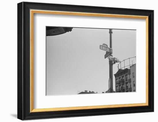 Street sign on the corner of 61st Street and 1st Avenue, New York City, 1938-Walker Evans-Framed Photographic Print