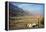 Street Sign on the Shore of the Dead Sea, Israel-null-Framed Stretched Canvas