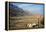 Street Sign on the Shore of the Dead Sea, Israel-null-Framed Stretched Canvas