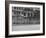 Street Signs Hanging on the Avenida Rio Branco During Election Week-null-Framed Photographic Print