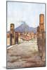 Street View - Pompeii-Alberto Pisa-Mounted Art Print