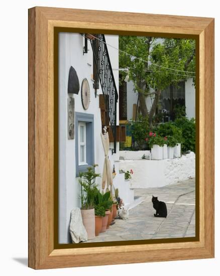 Street View with Black Cat, Manolates, Samos, Aegean Islands, Greece-Walter Bibikow-Framed Premier Image Canvas