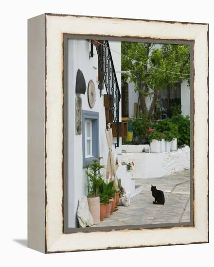 Street View with Black Cat, Manolates, Samos, Aegean Islands, Greece-Walter Bibikow-Framed Premier Image Canvas