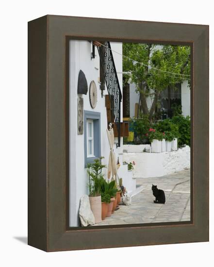 Street View with Black Cat, Manolates, Samos, Aegean Islands, Greece-Walter Bibikow-Framed Premier Image Canvas