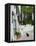 Street View with Black Cat, Manolates, Samos, Aegean Islands, Greece-Walter Bibikow-Framed Premier Image Canvas