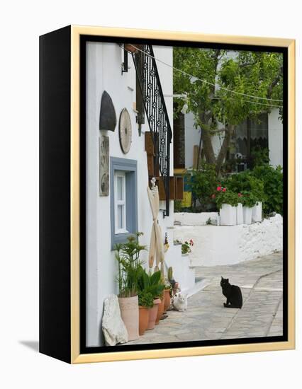 Street View with Black Cat, Manolates, Samos, Aegean Islands, Greece-Walter Bibikow-Framed Premier Image Canvas