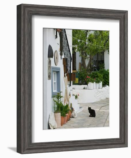 Street View with Black Cat, Manolates, Samos, Aegean Islands, Greece-Walter Bibikow-Framed Photographic Print