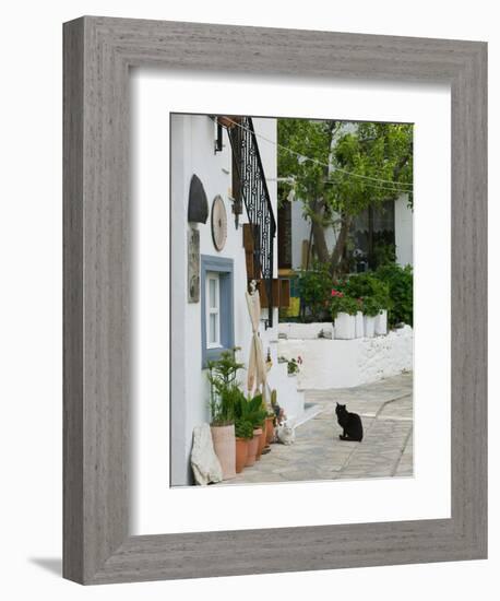 Street View with Black Cat, Manolates, Samos, Aegean Islands, Greece-Walter Bibikow-Framed Photographic Print