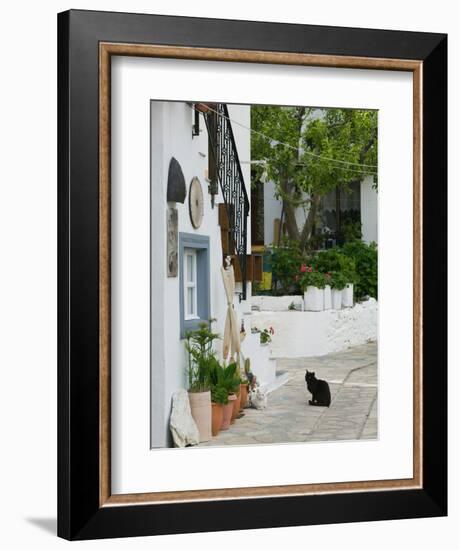 Street View with Black Cat, Manolates, Samos, Aegean Islands, Greece-Walter Bibikow-Framed Photographic Print