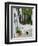 Street View with Black Cat, Manolates, Samos, Aegean Islands, Greece-Walter Bibikow-Framed Photographic Print