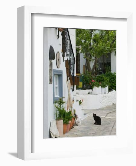 Street View with Black Cat, Manolates, Samos, Aegean Islands, Greece-Walter Bibikow-Framed Photographic Print