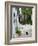 Street View with Black Cat, Manolates, Samos, Aegean Islands, Greece-Walter Bibikow-Framed Photographic Print