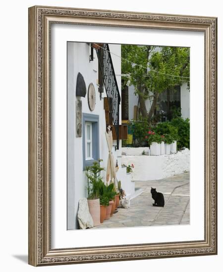 Street View with Black Cat, Manolates, Samos, Aegean Islands, Greece-Walter Bibikow-Framed Photographic Print