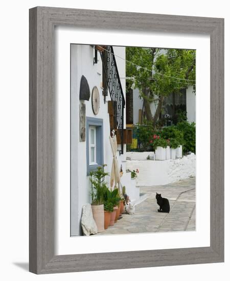 Street View with Black Cat, Manolates, Samos, Aegean Islands, Greece-Walter Bibikow-Framed Photographic Print