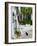 Street View with Black Cat, Manolates, Samos, Aegean Islands, Greece-Walter Bibikow-Framed Photographic Print