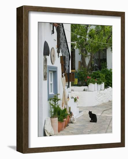 Street View with Black Cat, Manolates, Samos, Aegean Islands, Greece-Walter Bibikow-Framed Photographic Print