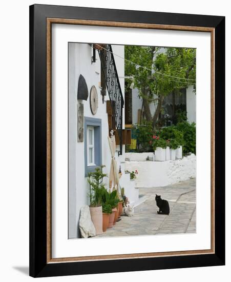 Street View with Black Cat, Manolates, Samos, Aegean Islands, Greece-Walter Bibikow-Framed Photographic Print