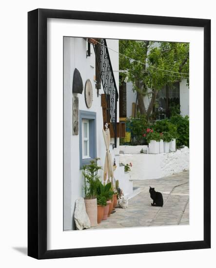 Street View with Black Cat, Manolates, Samos, Aegean Islands, Greece-Walter Bibikow-Framed Photographic Print