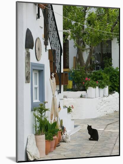 Street View with Black Cat, Manolates, Samos, Aegean Islands, Greece-Walter Bibikow-Mounted Photographic Print