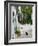 Street View with Black Cat, Manolates, Samos, Aegean Islands, Greece-Walter Bibikow-Framed Photographic Print