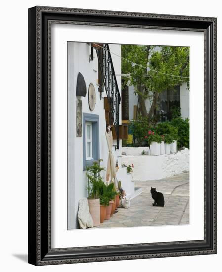 Street View with Black Cat, Manolates, Samos, Aegean Islands, Greece-Walter Bibikow-Framed Photographic Print