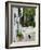 Street View with Black Cat, Manolates, Samos, Aegean Islands, Greece-Walter Bibikow-Framed Photographic Print