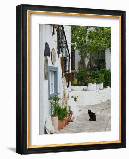 Street View with Black Cat, Manolates, Samos, Aegean Islands, Greece-Walter Bibikow-Framed Photographic Print