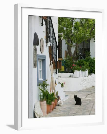 Street View with Black Cat, Manolates, Samos, Aegean Islands, Greece-Walter Bibikow-Framed Photographic Print