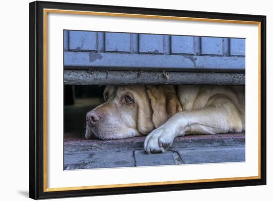 Street Watcher-Susanne Stoop-Framed Photographic Print