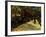 Street with Chestnuts Blossoming-null-Framed Giclee Print