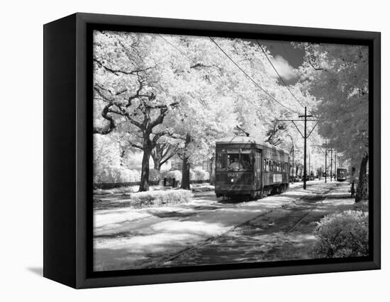 Streetcar, St. Charles Avenue, New Orleans-Carol Highsmith-Framed Stretched Canvas