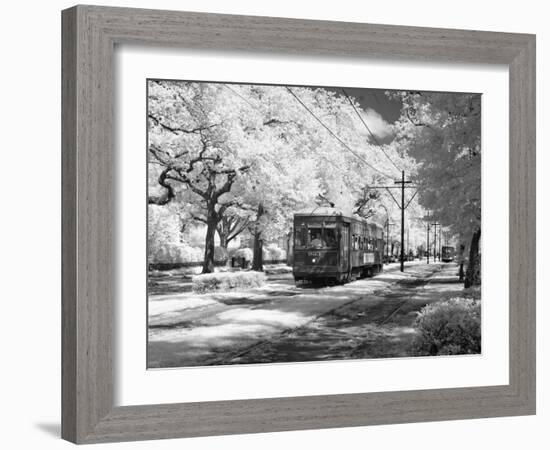 Streetcar, St. Charles Avenue, New Orleans-Carol Highsmith-Framed Photo