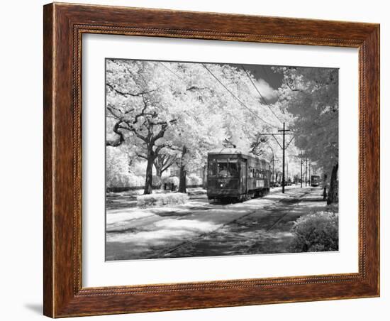 Streetcar, St. Charles Avenue, New Orleans-Carol Highsmith-Framed Photo