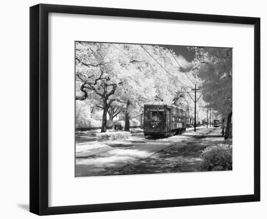 Streetcar, St. Charles Avenue, New Orleans-Carol Highsmith-Framed Photo