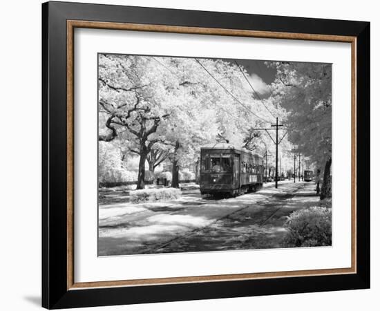 Streetcar, St. Charles Avenue, New Orleans-Carol Highsmith-Framed Photo