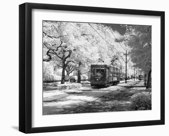 Streetcar, St. Charles Avenue, New Orleans-Carol Highsmith-Framed Photo