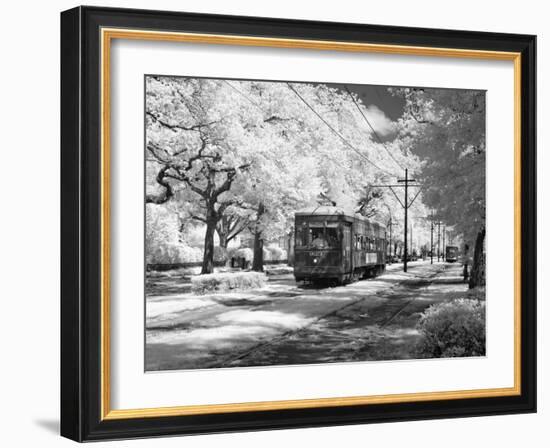 Streetcar, St. Charles Avenue, New Orleans-Carol Highsmith-Framed Photo