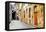 Streets of Old Tuscany, Italy-Maugli-l-Framed Premier Image Canvas