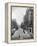 Streetscene, Seattle, Circa 1900-Asahel Curtis-Framed Premier Image Canvas